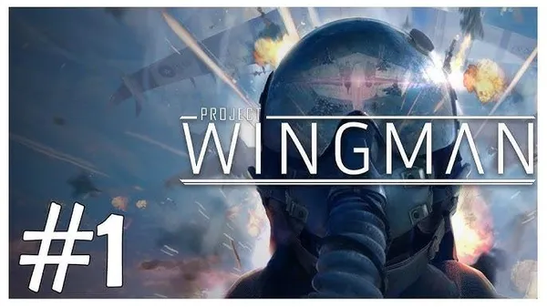 game không chiến - Project Wingman